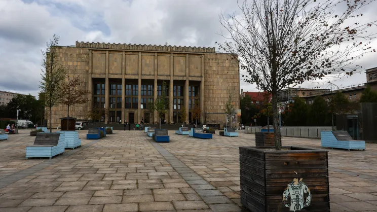 Drzewa przed Muzeum Narodowym