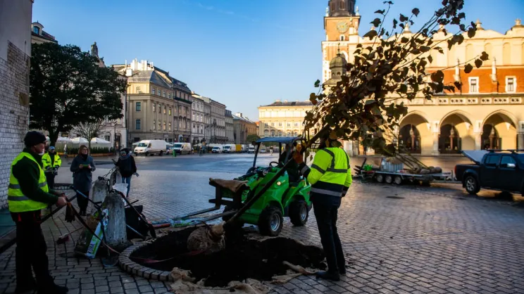 Rynek Główny