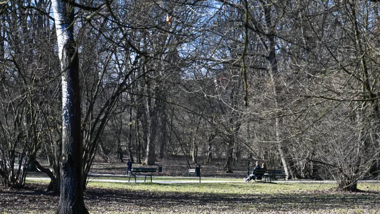 Park Decjusza