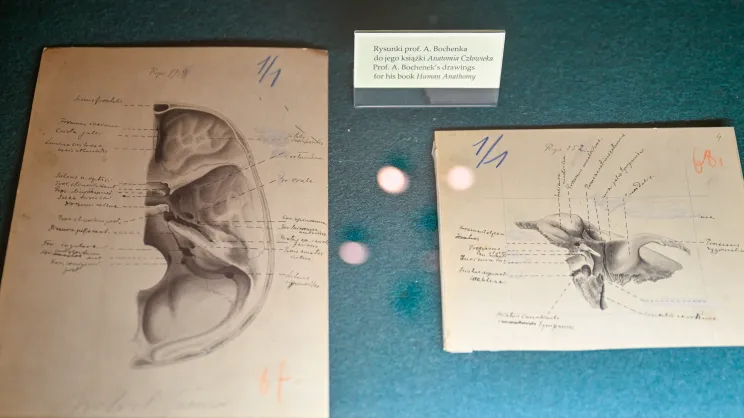 Muzeum medycyny UJ