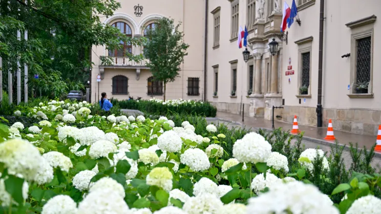 Skwer przed krakowskim magistratem