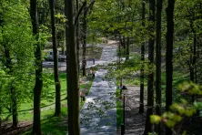 Park Bednarskiego - zdjęcie przykładowe