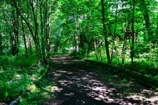Park Grzegórzecki to przestrzeń, o którą bardzo zabiega miejska ogrodniczka