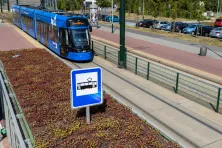 Zielone dachy na przystankach tramwajowych