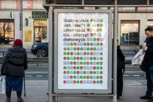 Cmentarz dla zwierząt, zdjęcie ilustracyjne