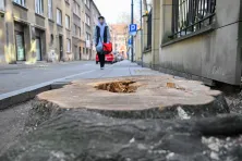 Wycięte drzewo na ul. Cybulskiego