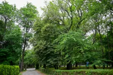 Park przy Dworze Czeczów
