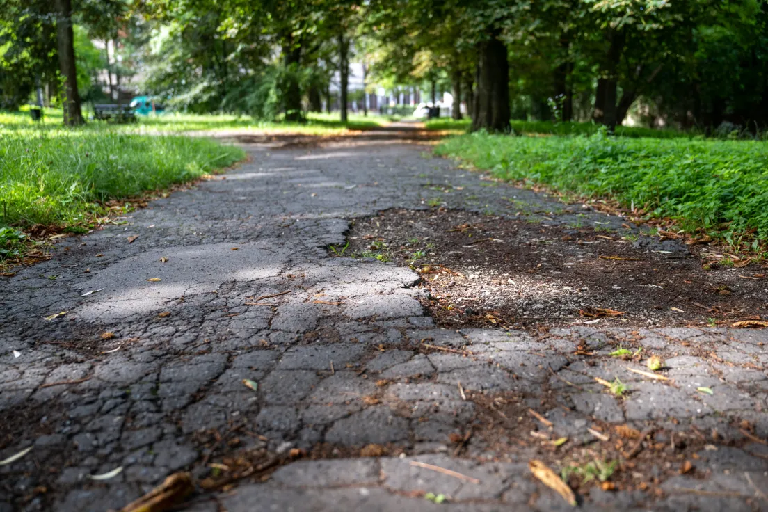 Zniszczona nawierzchnia alejek w Parku Kleparskim
