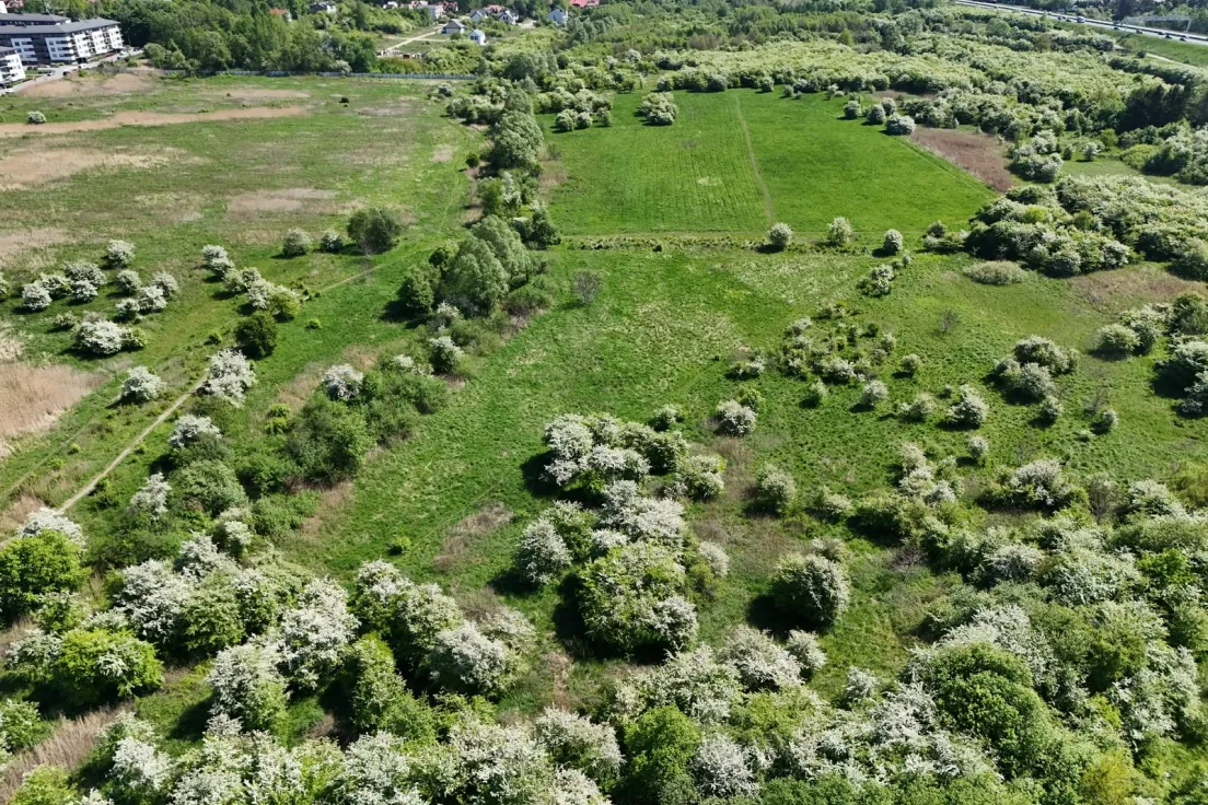 Teren pod park 